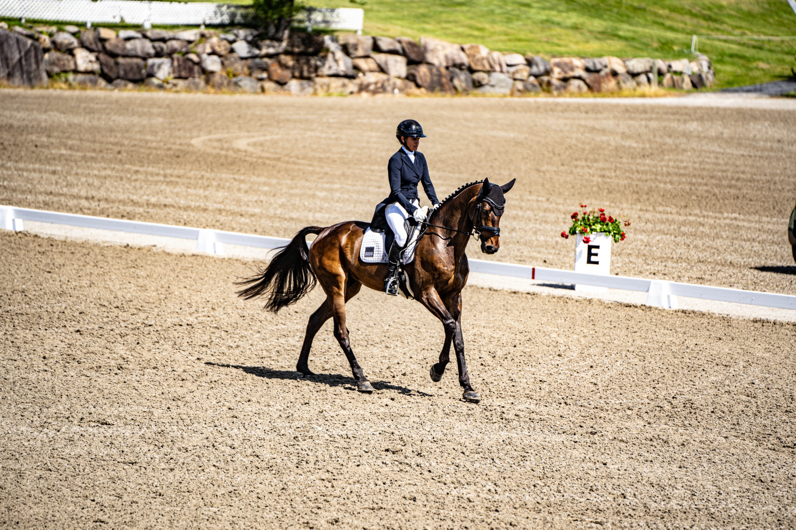 Bellissimo is the Belle of the Ball in MARS Equestrian Bromont CCI4*L