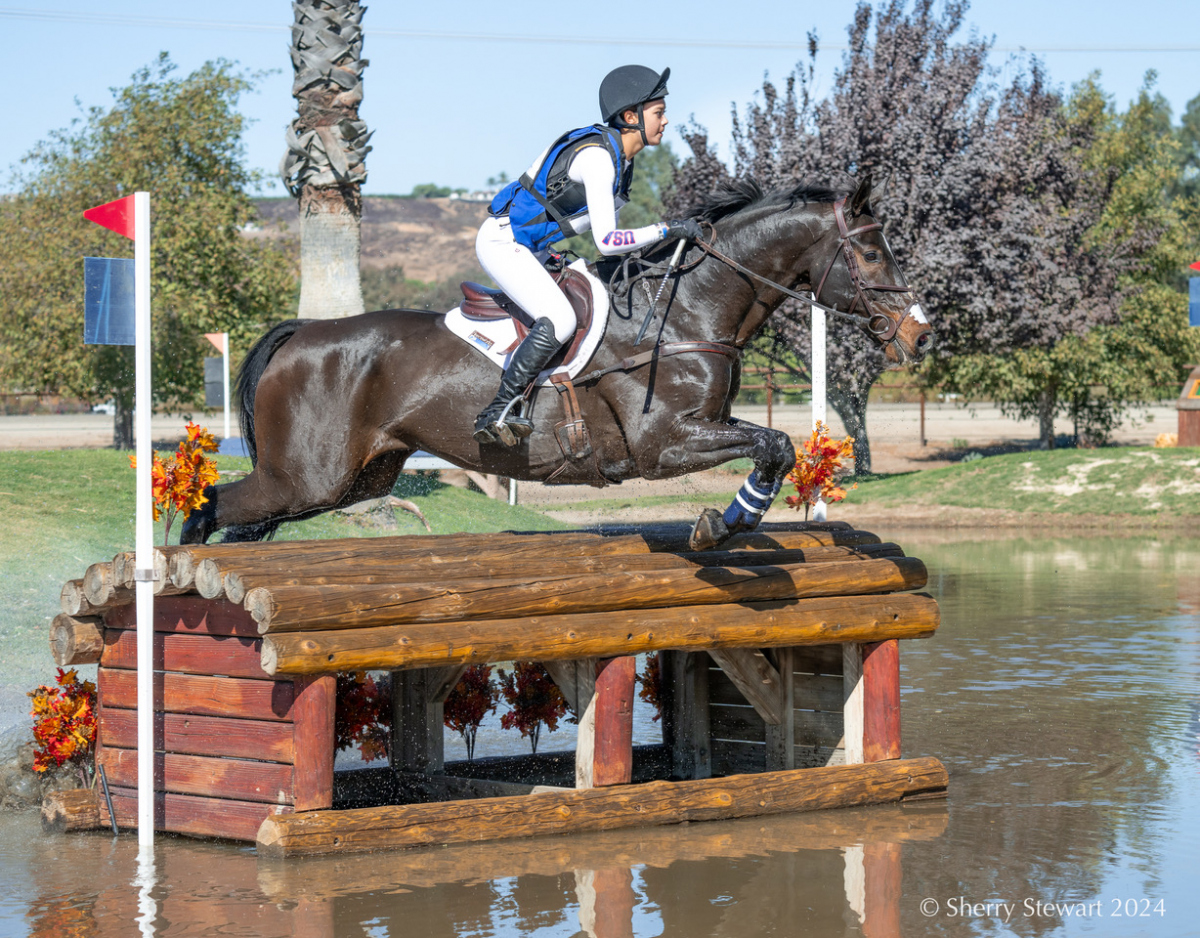 US Equestrian Announces 2025 Eventing Pathway Program Lists | Eventing ...