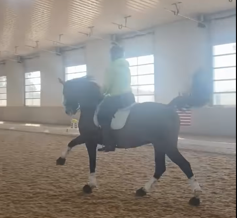 Video Break: Will Faudree Tests Those Dressage Skillz