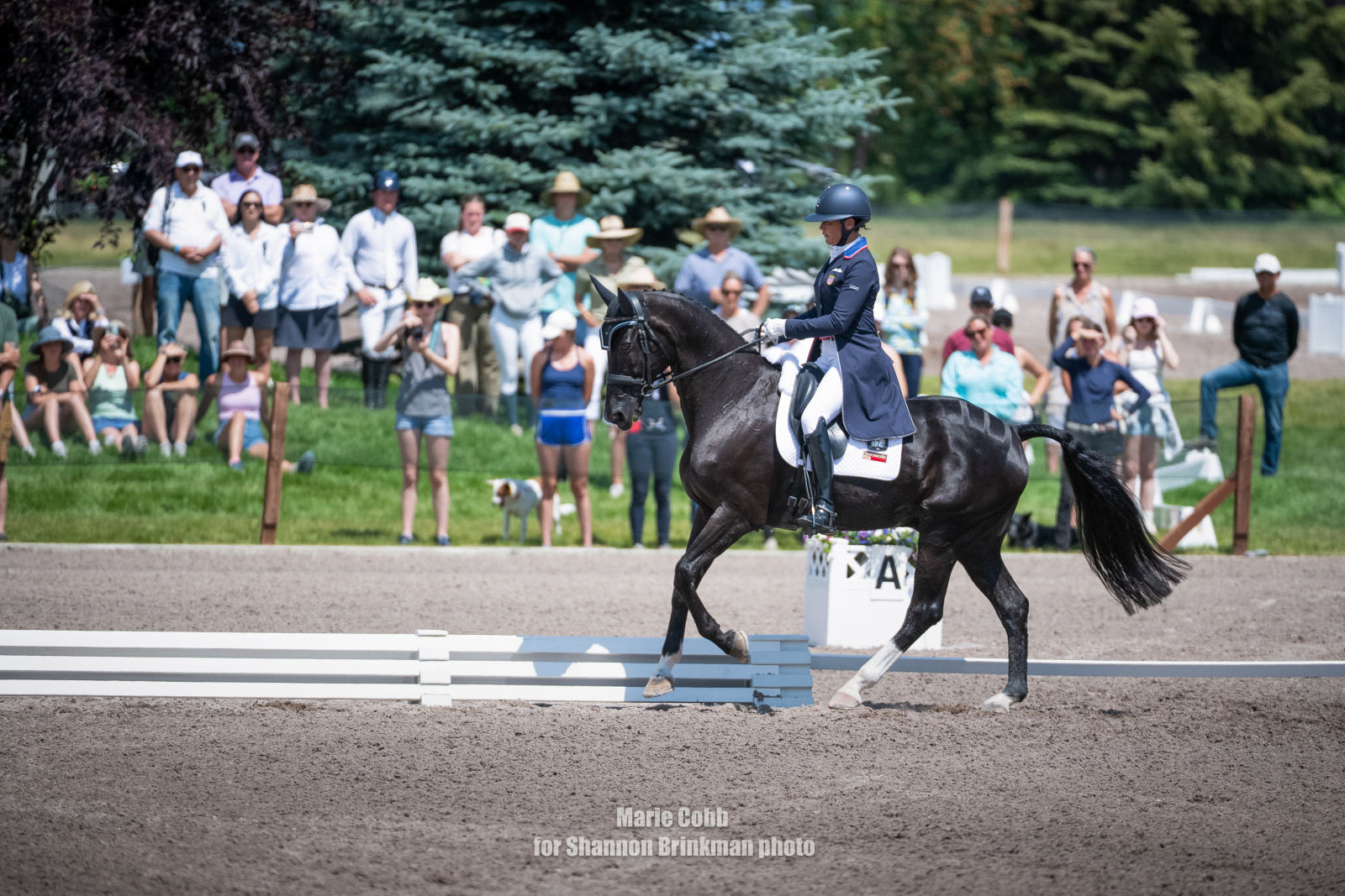 Mai Baum Wows in Day of FEI Dressage - SmithMaiBaumRF25brinkman7 17ds2mc 8030