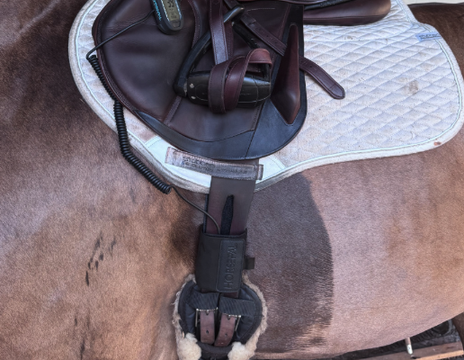 Product Review: Horsepal Offers a New Solution for Equine Fitness Monitoring