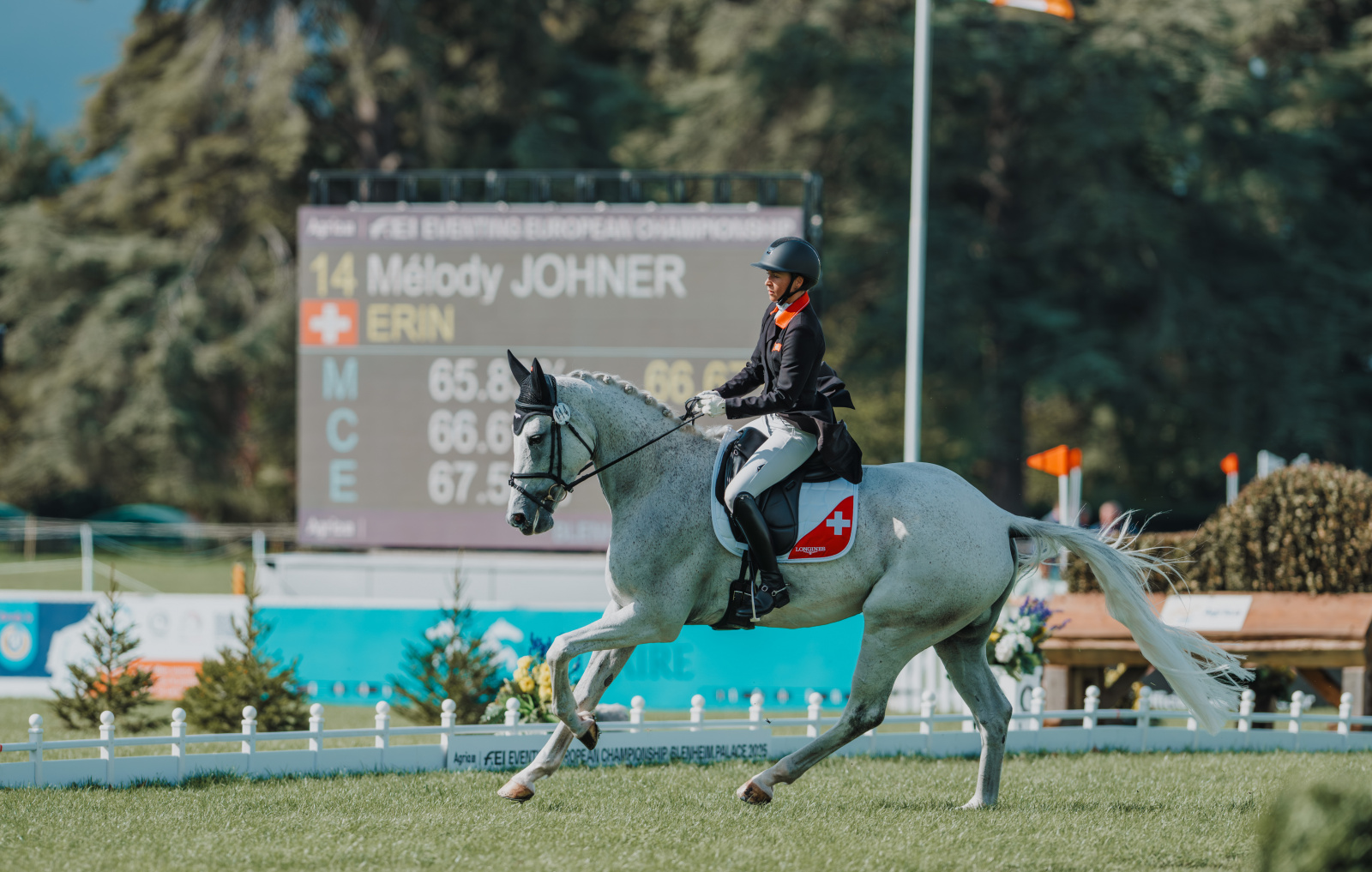 Classic Eventing Nation | Eventing Nation - Three-Day Eventing News,  Results, Videos, and Commentary, image size:1600x1017