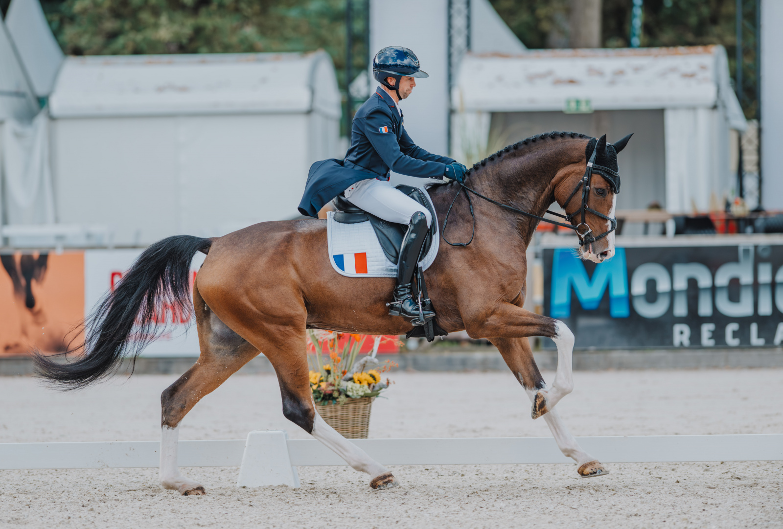 Tilly Berendt | Eventing Nation - Three-Day Eventing News, Results, Videos,  and Commentary, image size:1600x1081