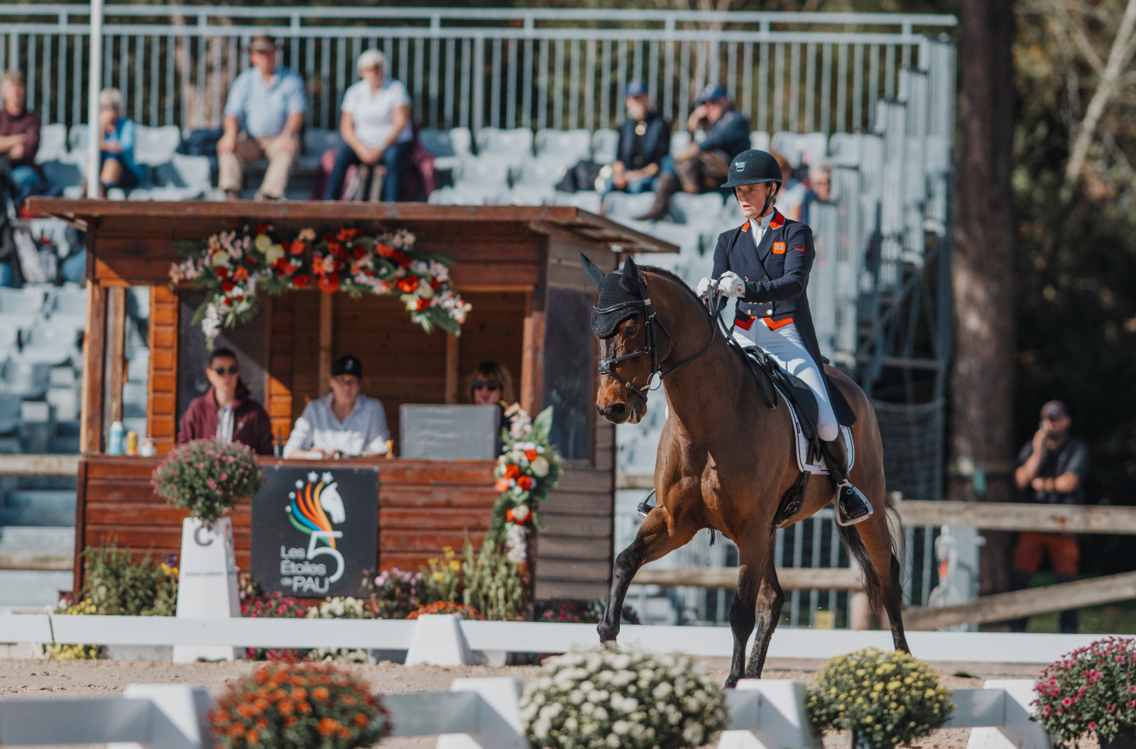 Tilly Berendt | Eventing Nation - Three-Day Eventing News, Results, Videos,  and Commentary, image size:1600x1055