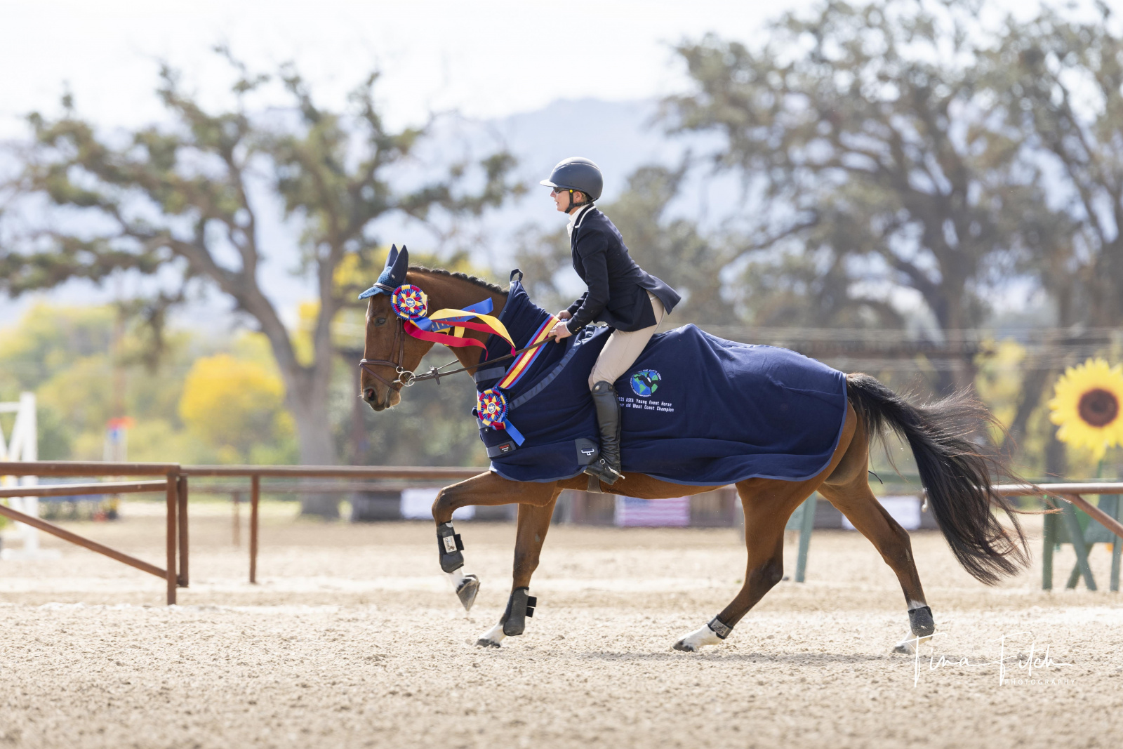 Jonathan Horowitz | Eventing Nation - Three-Day Eventing News