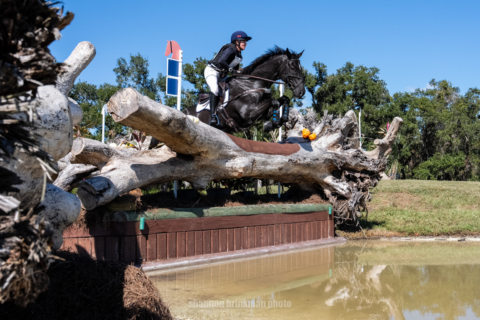 Sydney Elliott and QC Diamantaire Jump to Top of TerraNova CCI4*-L; Will Coleman Takes CCI4*-S