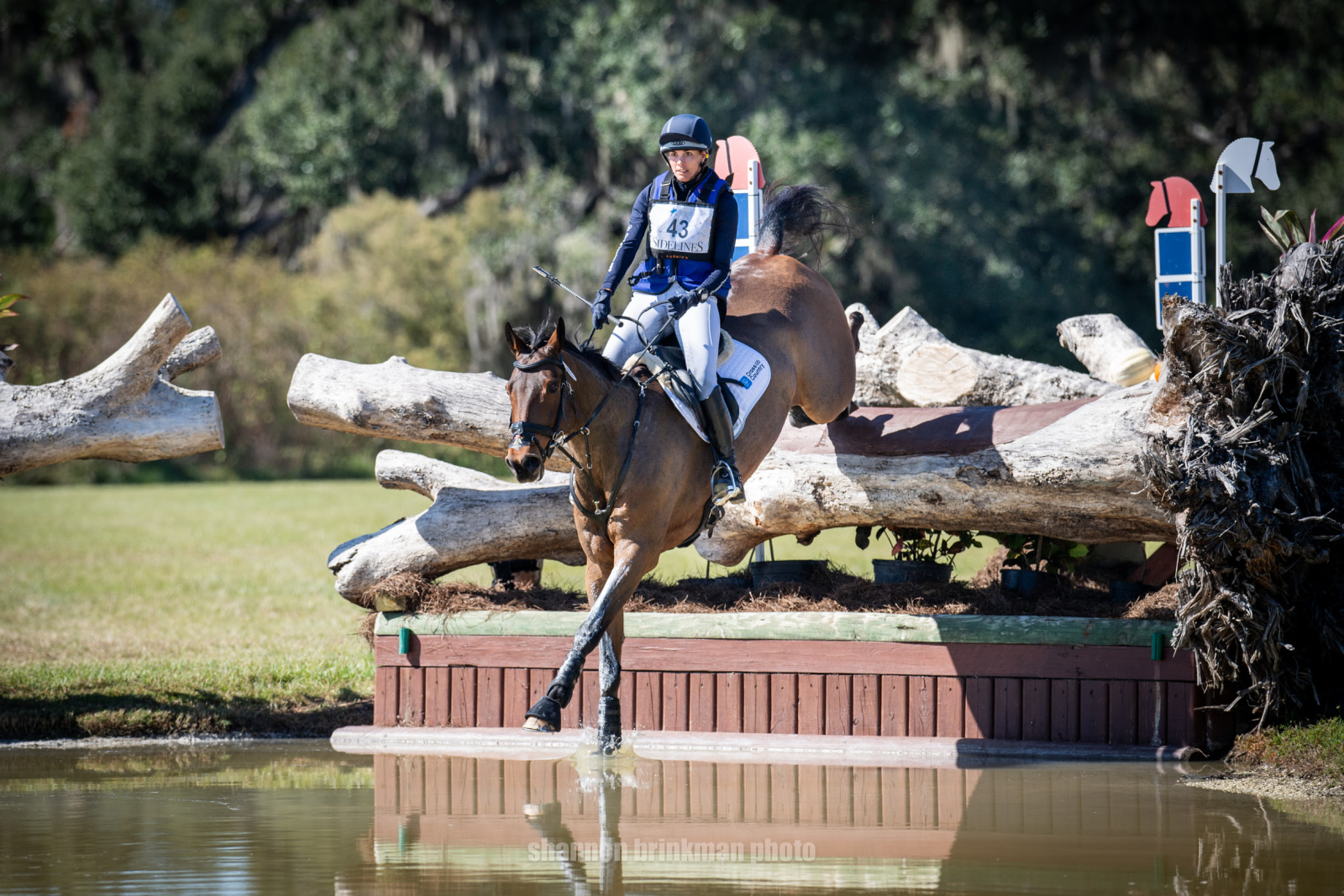 Sydney Elliott and QC Diamantaire Jump to Top of TerraNova CCI4*-L
