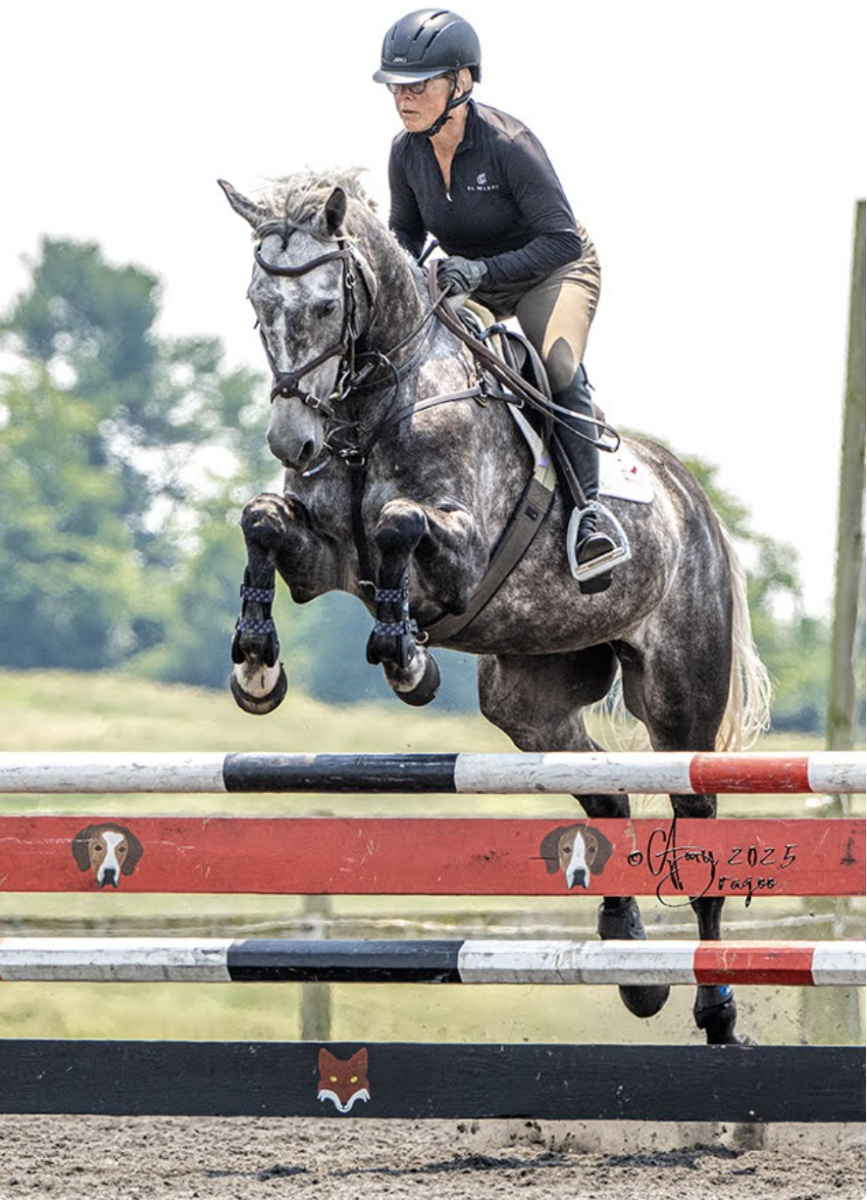 Excel Star Sebastian