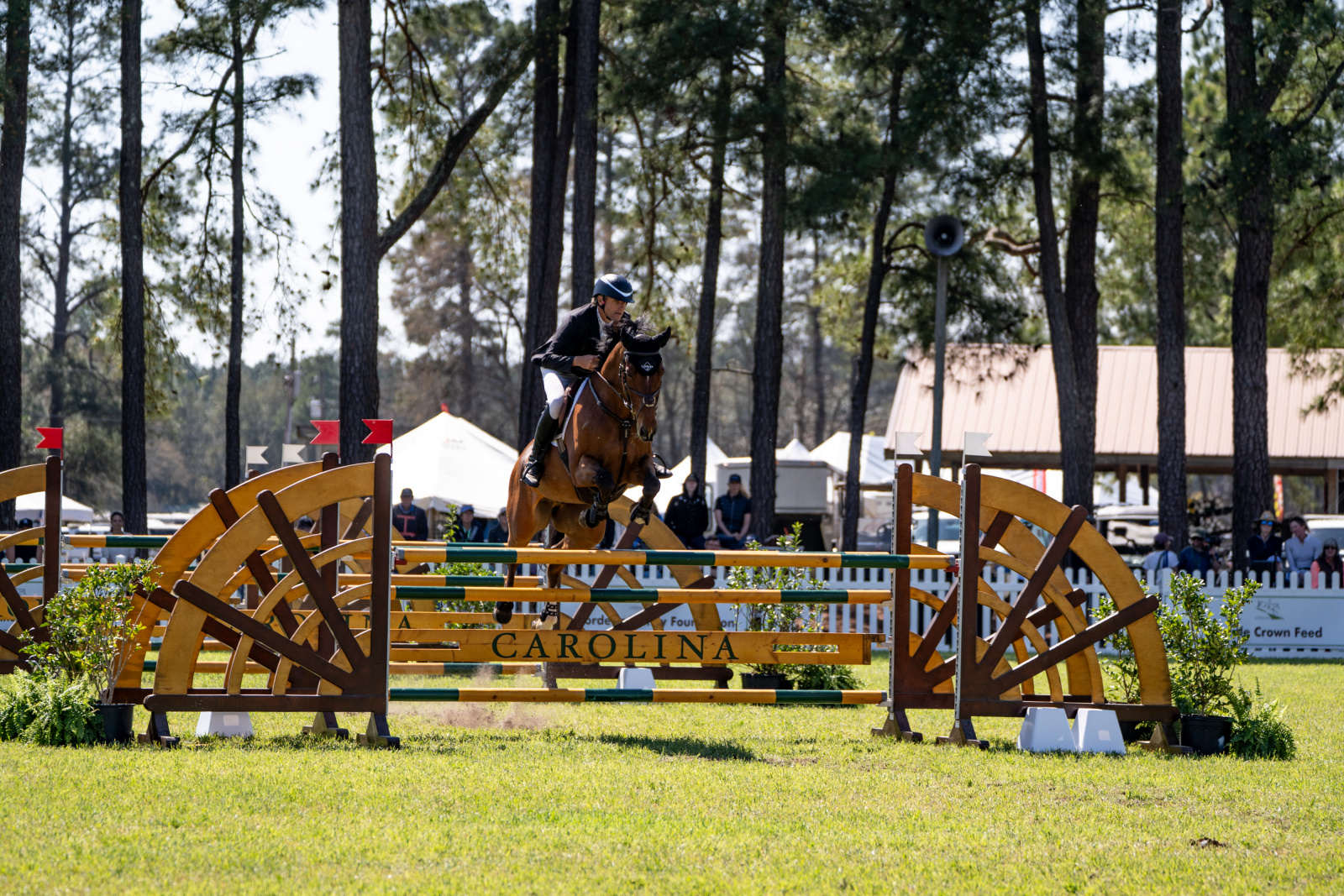 Boyd Martin Takes Command of CDP Eventing Stables CCI4*-S at Setters’ Run Farm Carolina International CCI & H.T.