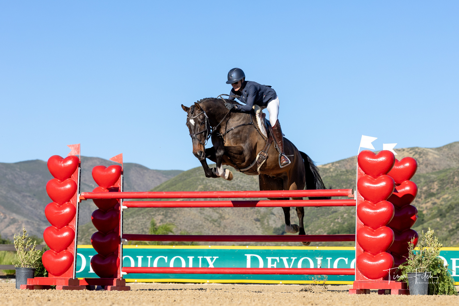 Karen O’Neal and Clooney 14 Lead the CCI4*-S at Galway Downs International