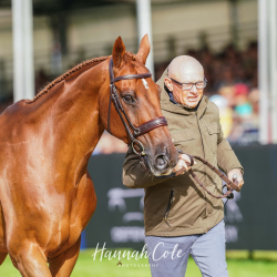 Jennie Brannigan's FE Lifestyle, presented by Leslie Law. Photo by Hannah Cole Photography.