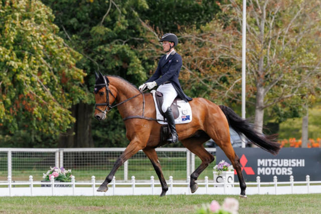 Oliver Barrett (AUS) and Sandhills Briar. Photo by Libby Law Photography.