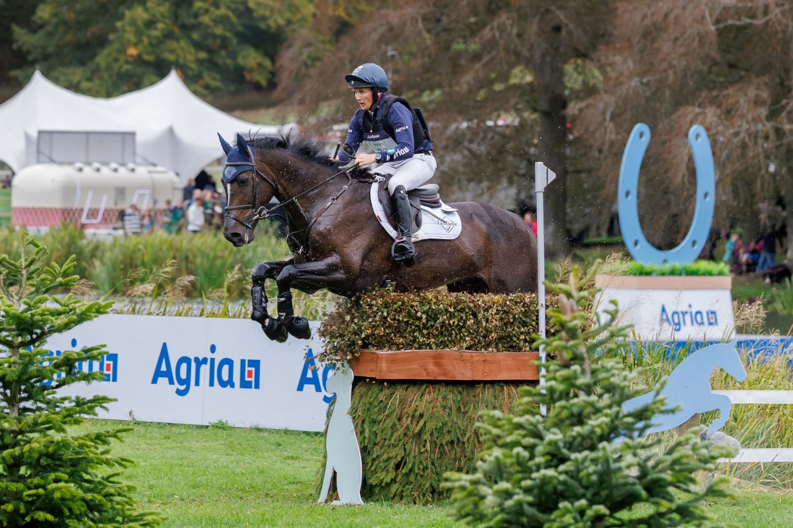 Team GB Powerhouse Tom McEwen Leads Both Agria Blenheim Fields on Saturday