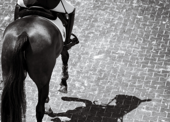 Tuesday News & Notes from Kentucky Performance Products: Concussion Research, A Refreshed Nations Cup Finale Awaits, A Racetrack Reject to Olympic Legend Story & More