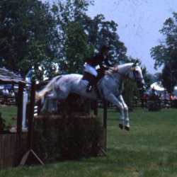 Photo via Equestrian Events Inc.