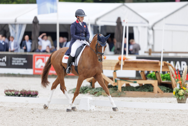 Gemma Stevens and Chilli Morning IV top the Thursday leaderboard at Boekelo. Photo distributed by the Boekelo press office.