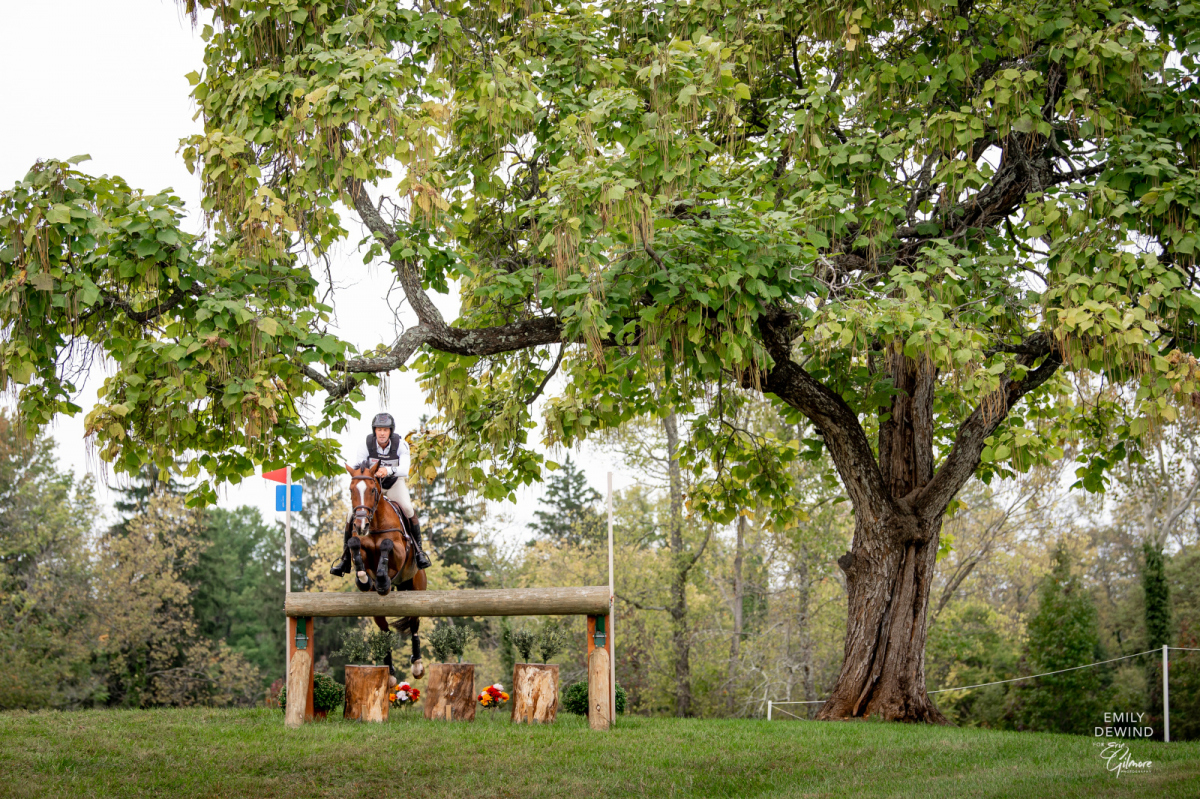 Timmy Is As Timmy Does: Coleman and Off the Record Overtake US Equestrian Open Lead