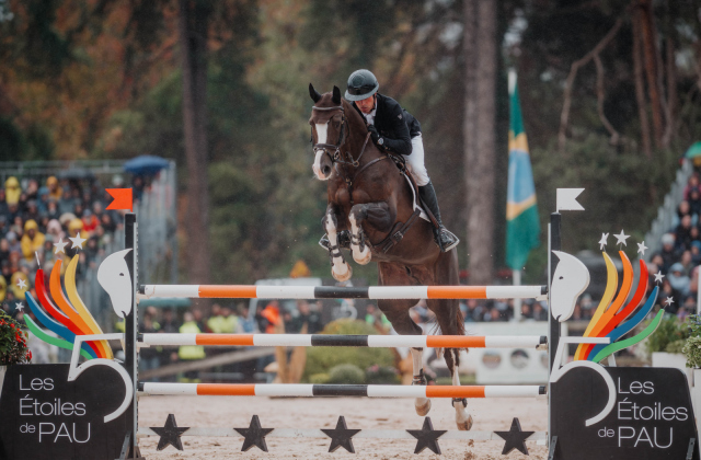 Tim Price and Jarillo. Photo by Tilly Berendt.