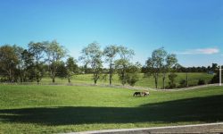IMG_6199.jpeg